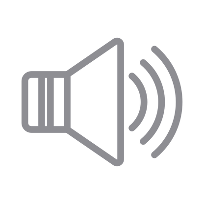 Apple iPhone Loud Speaker Is Not Working