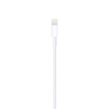 Load image into Gallery viewer, Apple Lightning to USB Cable
